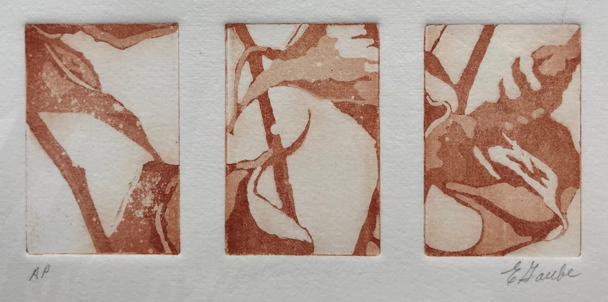 Pods Triptych (sepia)  AP by Ellen Gaube, Image 1.