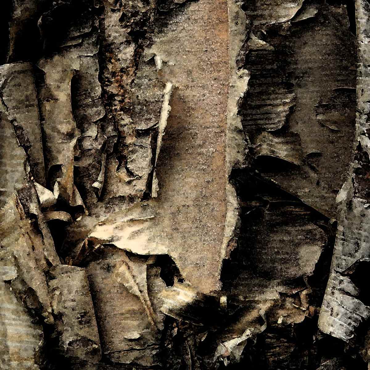 River Birch 2A by Ellen Gaube  Image: River Birch 2A