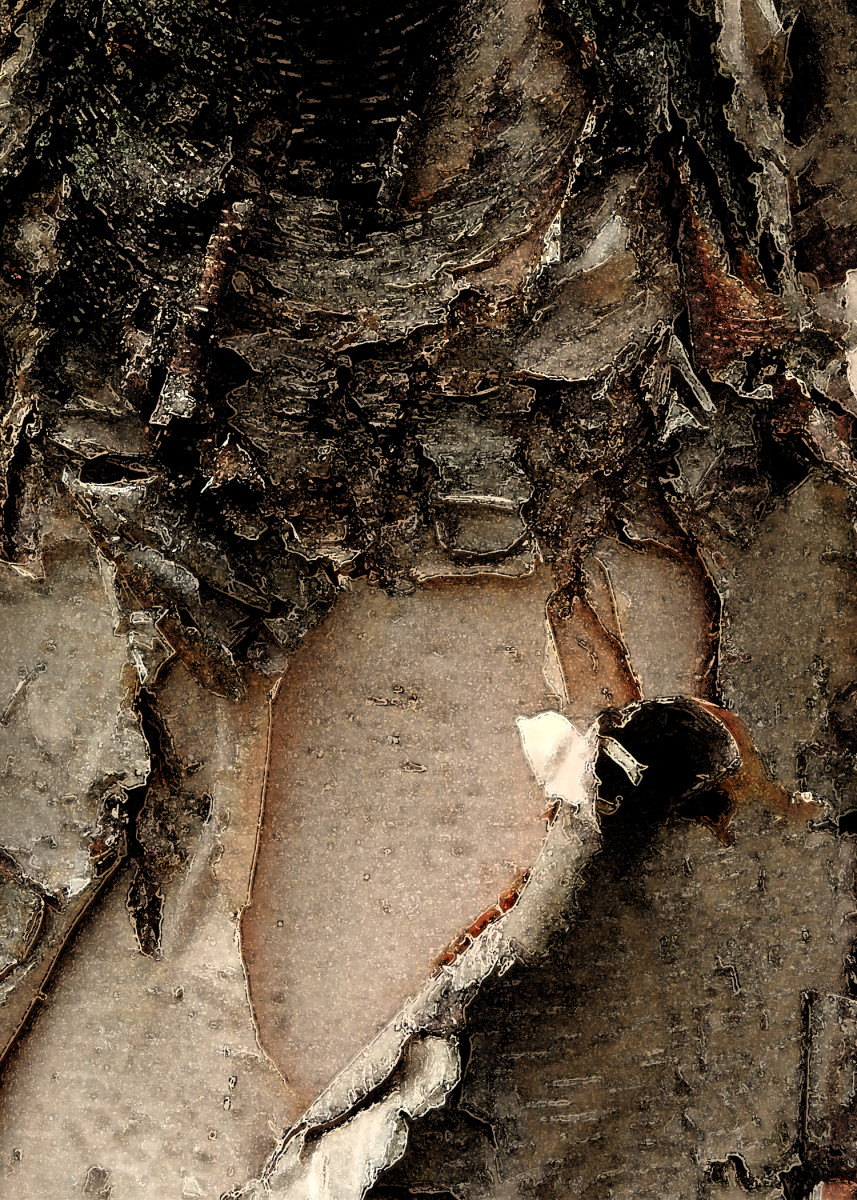 River Birch 4 by Ellen Gaube 