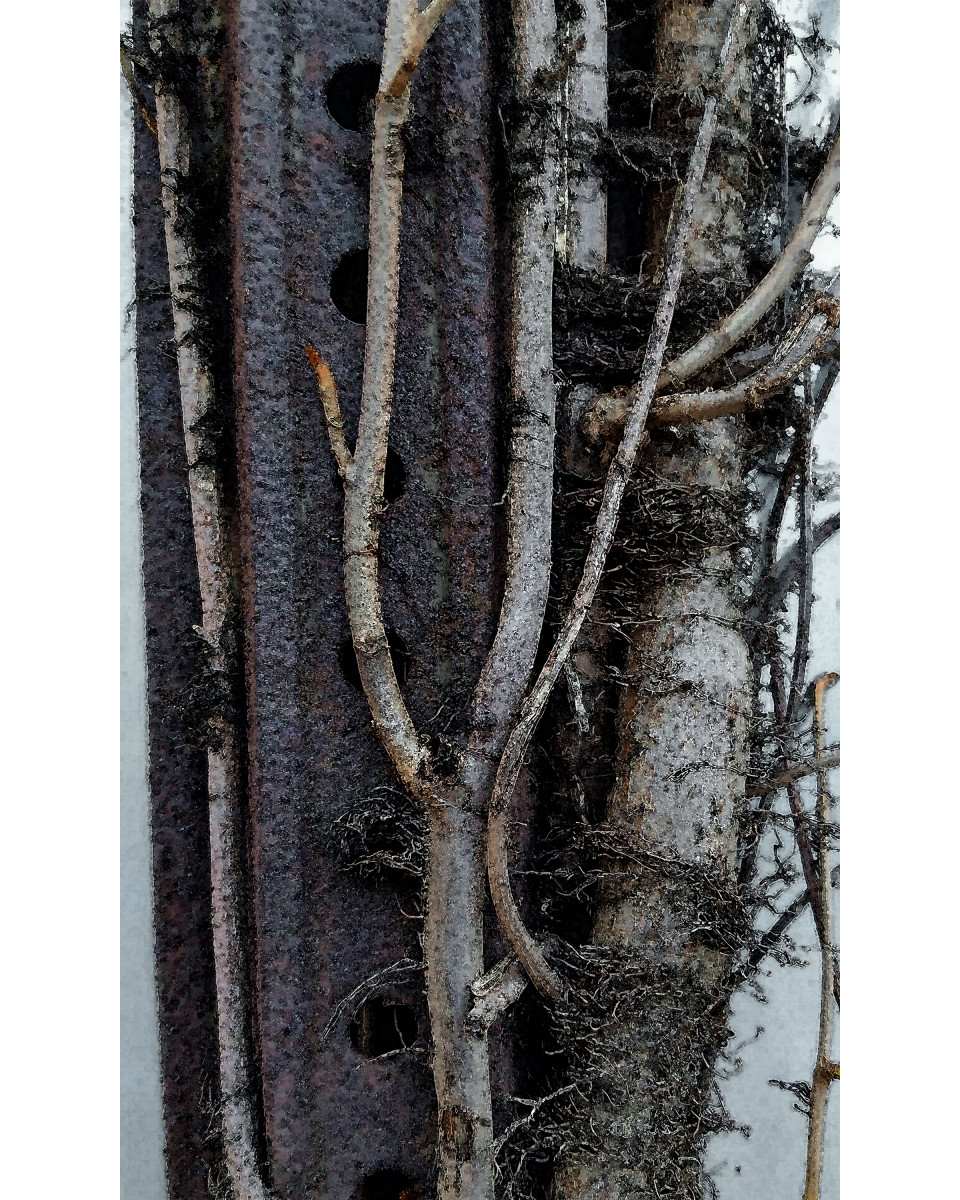 Steel Vines 2 by Ellen Gaube 