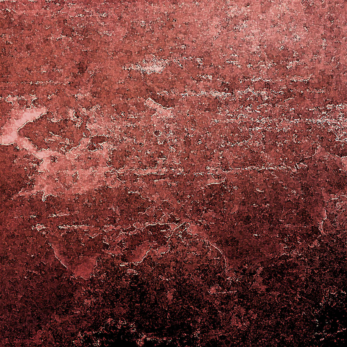 Tile 1 red by Ellen Gaube, Image 1.