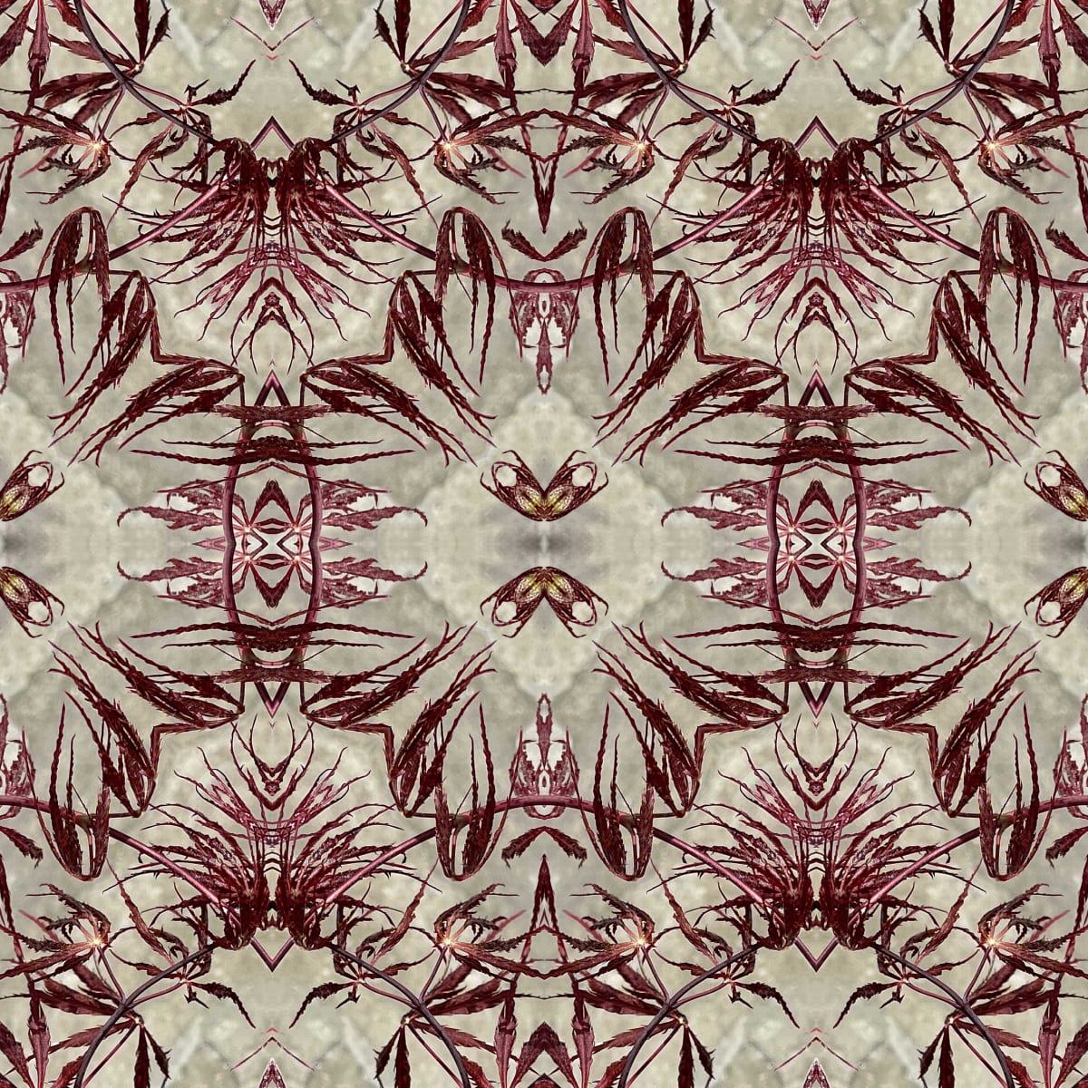 Edo 5     1/10 by Ellen Gaube, Image 1.