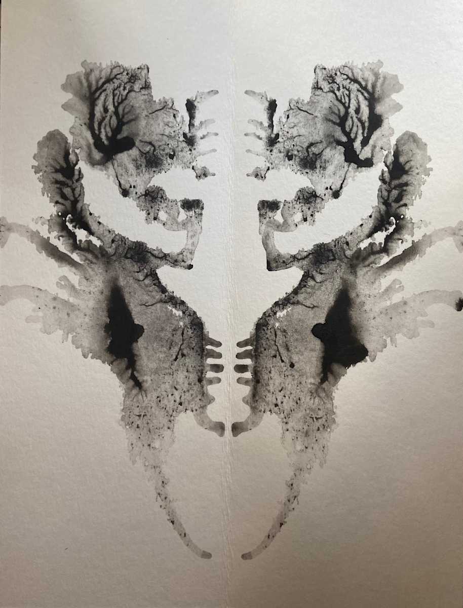 Fate’s Embrace by Alana Walters 