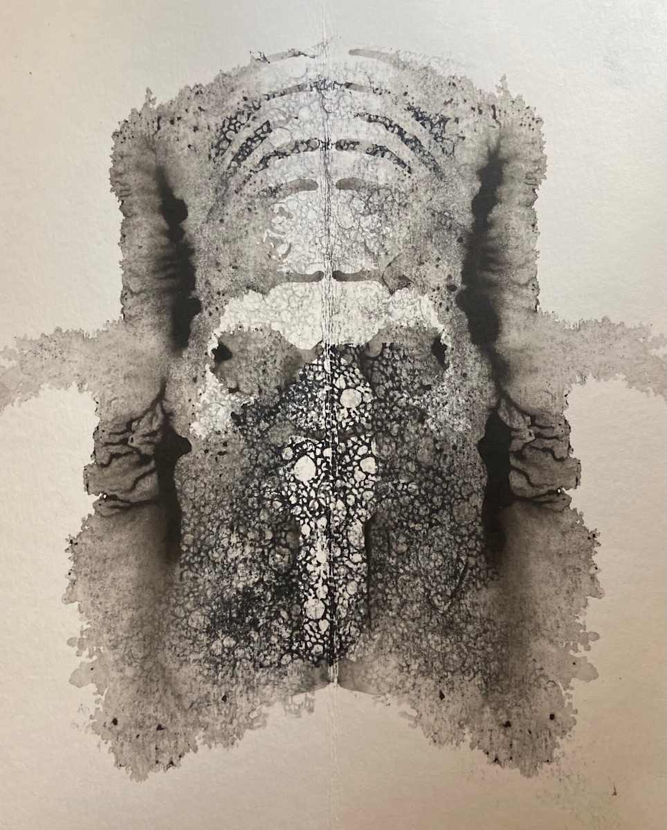 New Face by Alana Walters 