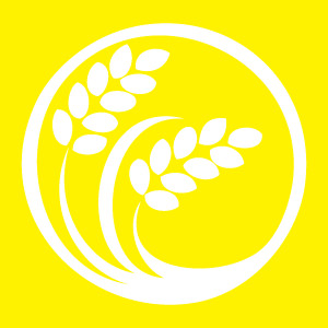 A Single Grain of Rice Contest & Show