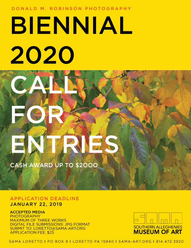 Donald M. Robinson Photography Biennial 2020