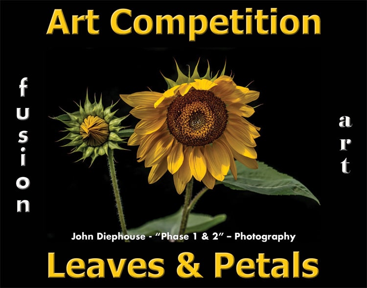 6th Annual Leaves & Petals Art Competition