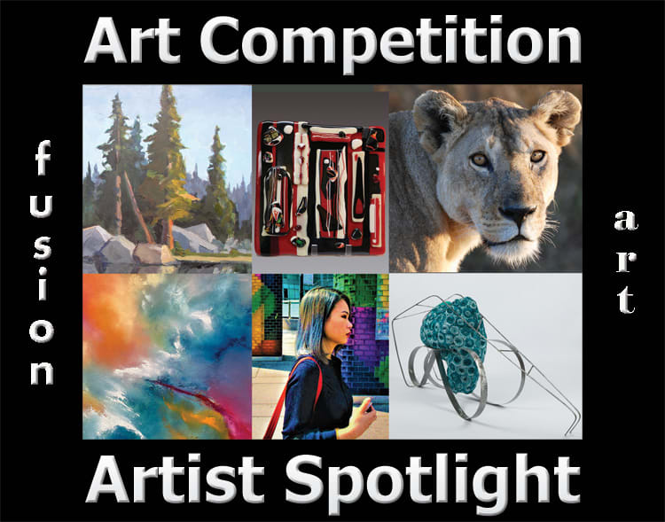 13th Artist Spotlight Solo Art Competition