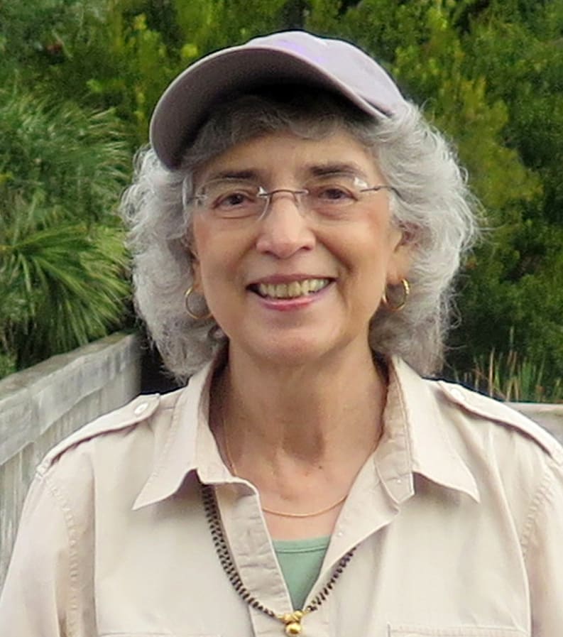 Artists Image