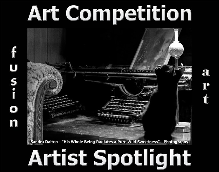 14th Artist Spotlight Solo Art Competition