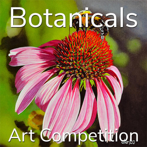 12th Annual “Botanicals” Online Art Competition