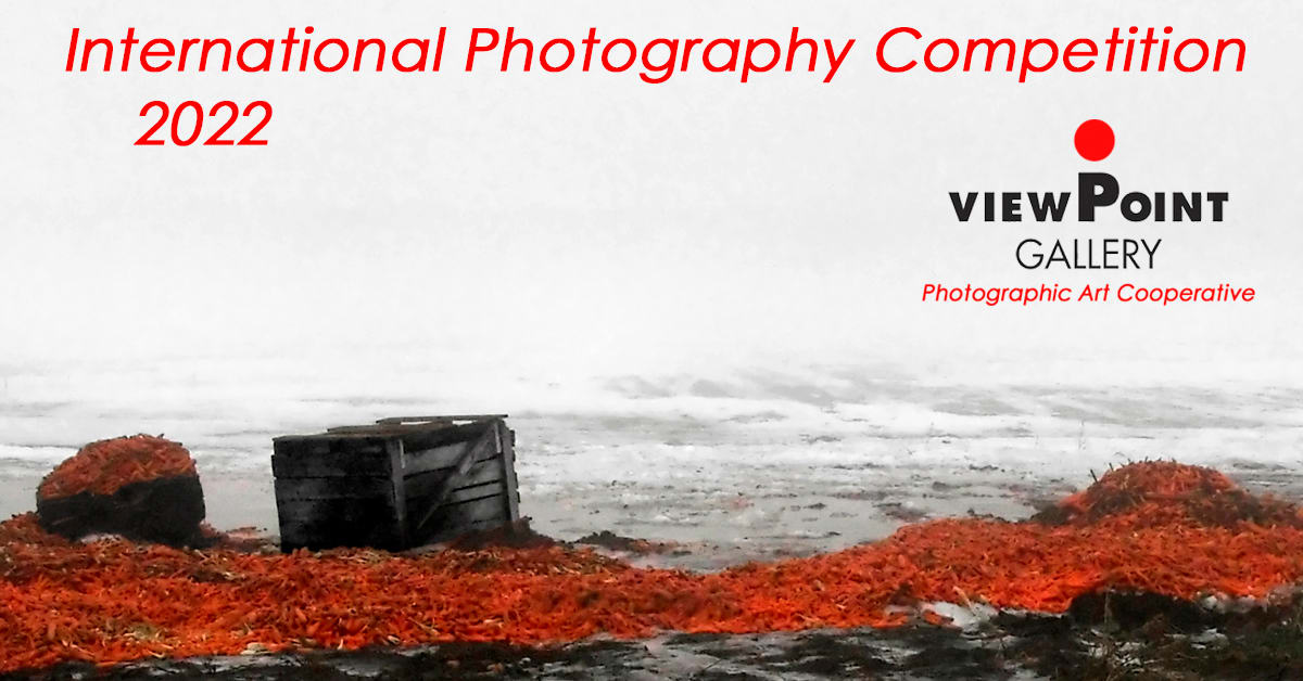 ViewPoint Gallery 2022 International Photography Competition 