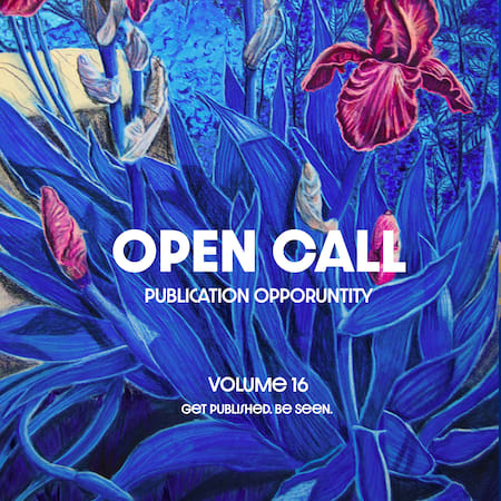 Call For Entry: Volume 16 Open Call: Publication Opportunity For ...