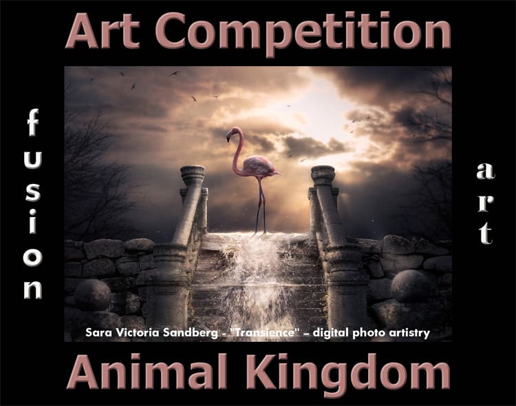 7th Annual Animal Kingdom Art Competition