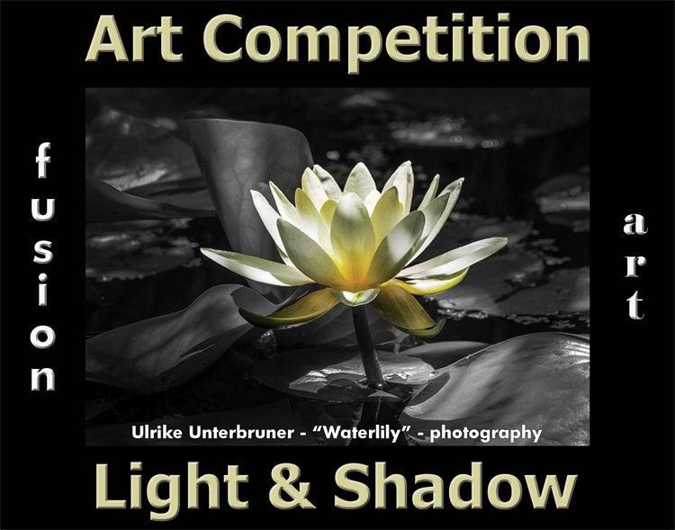 Light & Shadow 2022 Art Competition