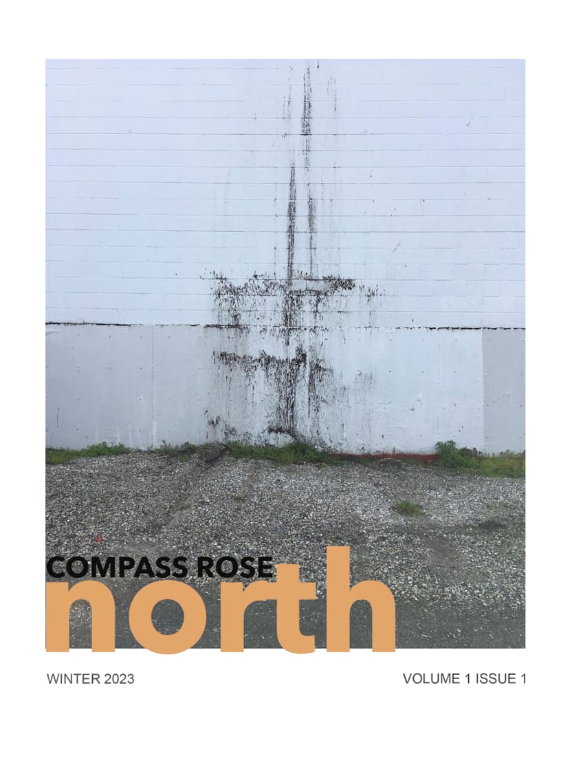 Spring issue "East" - Cover Art, Visual Art 