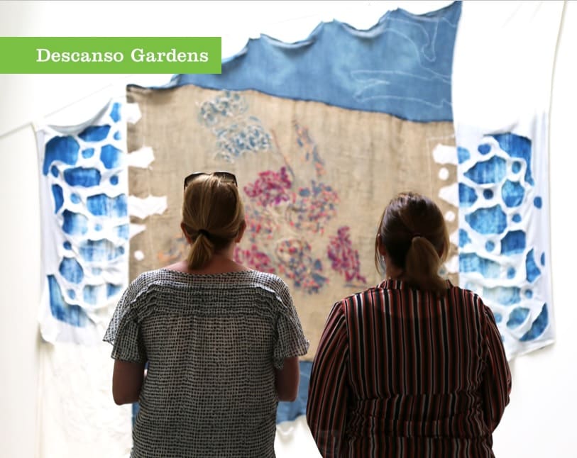 Call for Curatorial Proposals
