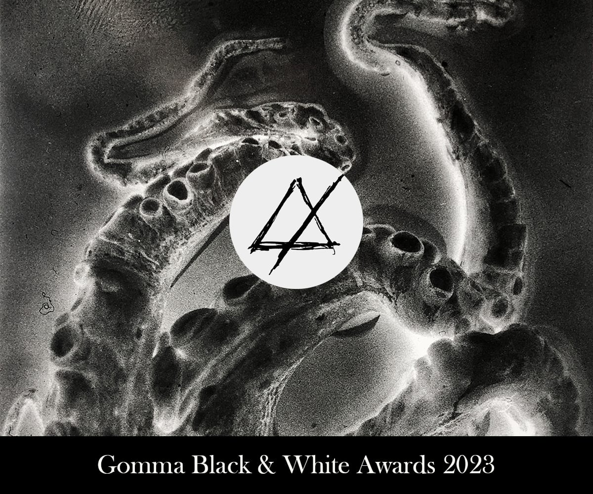 Gomma Black and White Awards 2023