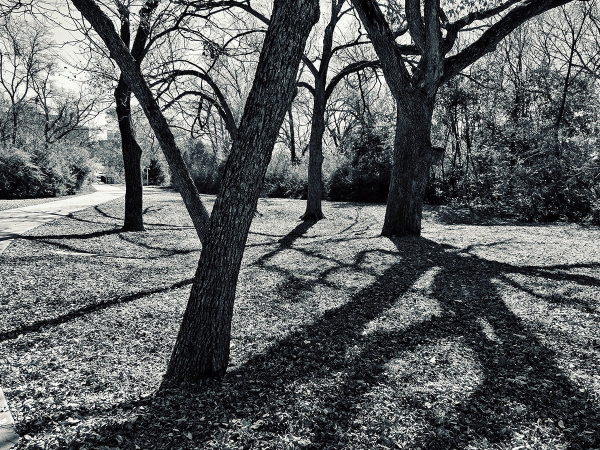 Dynamic: Shadow and Light