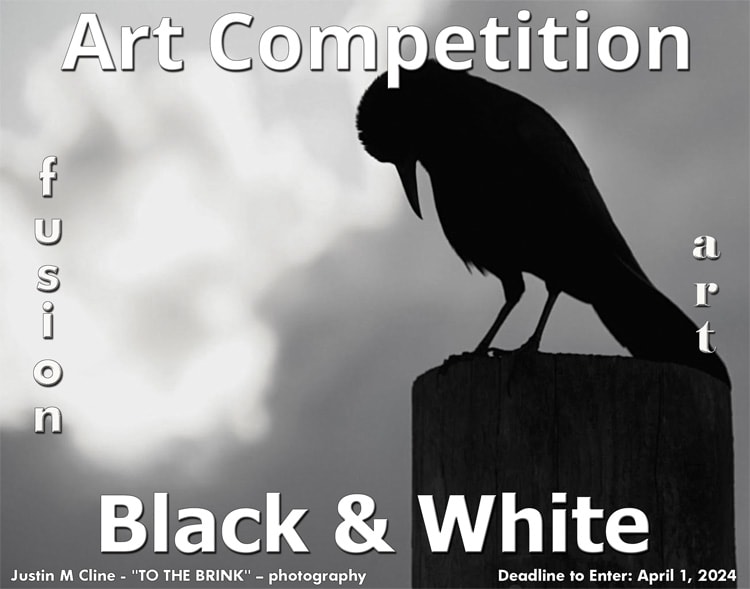 8th Annual Black & White Art Competition