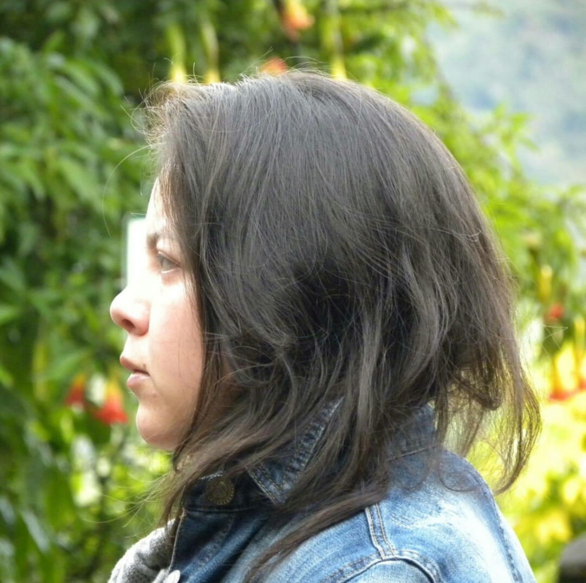 Artists Image