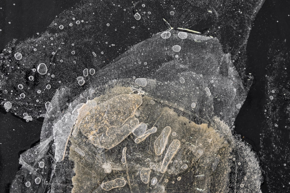 Artists Image