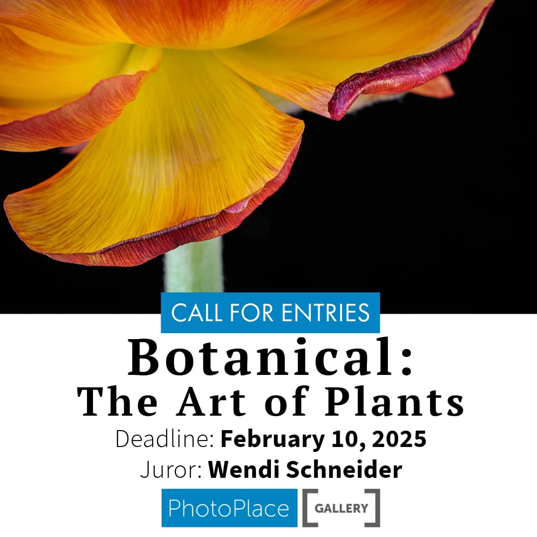 BOTANICAL: The Art of Plants
