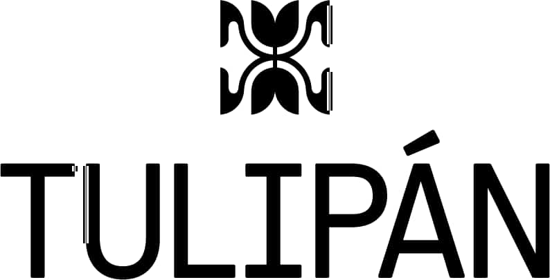 Tulipán Foundation: Art & Culture Award