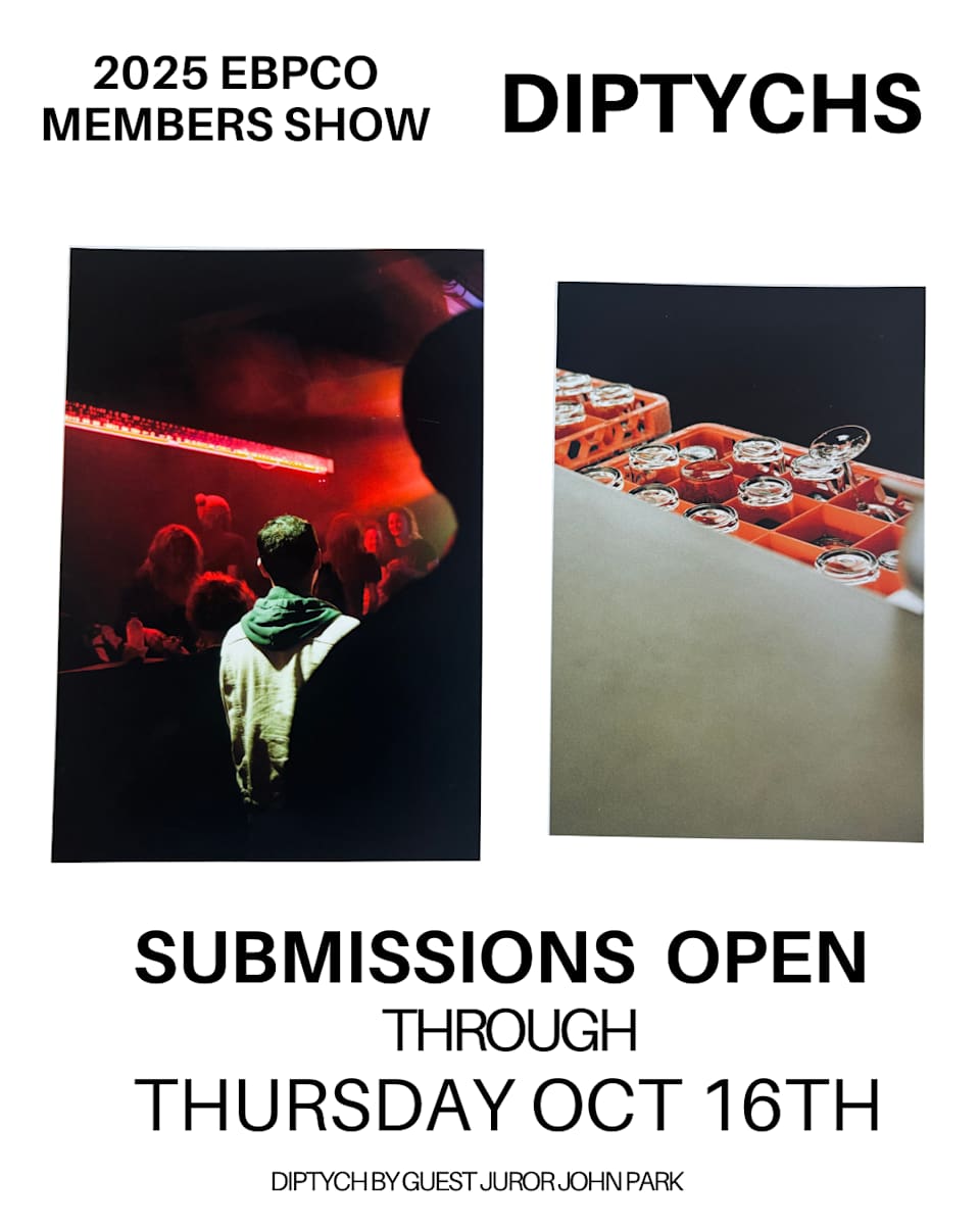 2025 Members' Exhibition: Diptychs