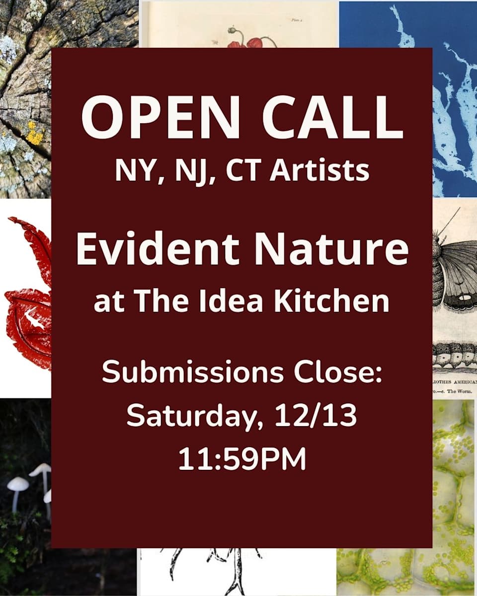 SUBMISSION PERIOD EXTENDED! Open Call: Evident Nature at The Idea Kitchen