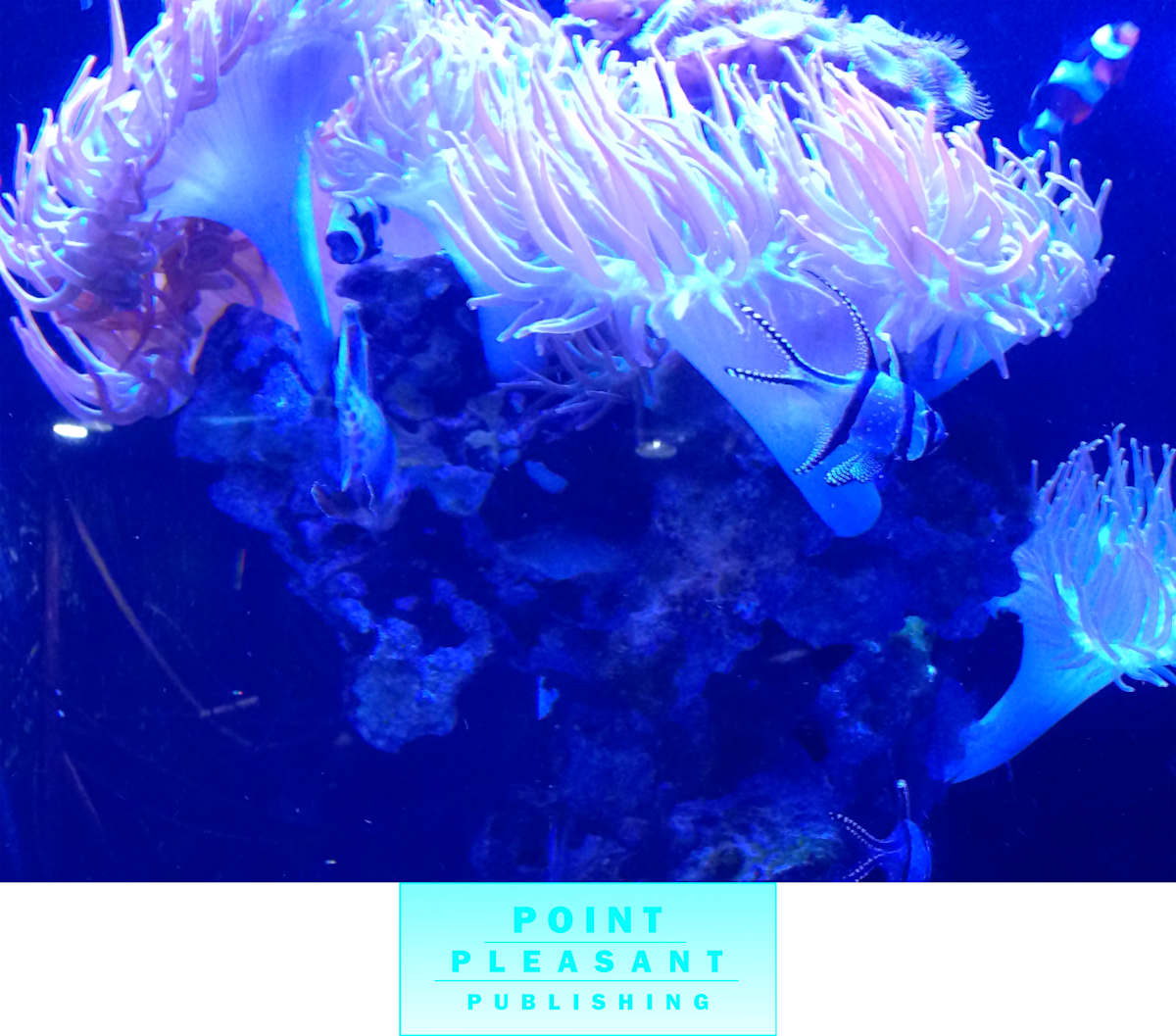 Series 48 - Experimental Visual Art for Hardcover Book Editions 