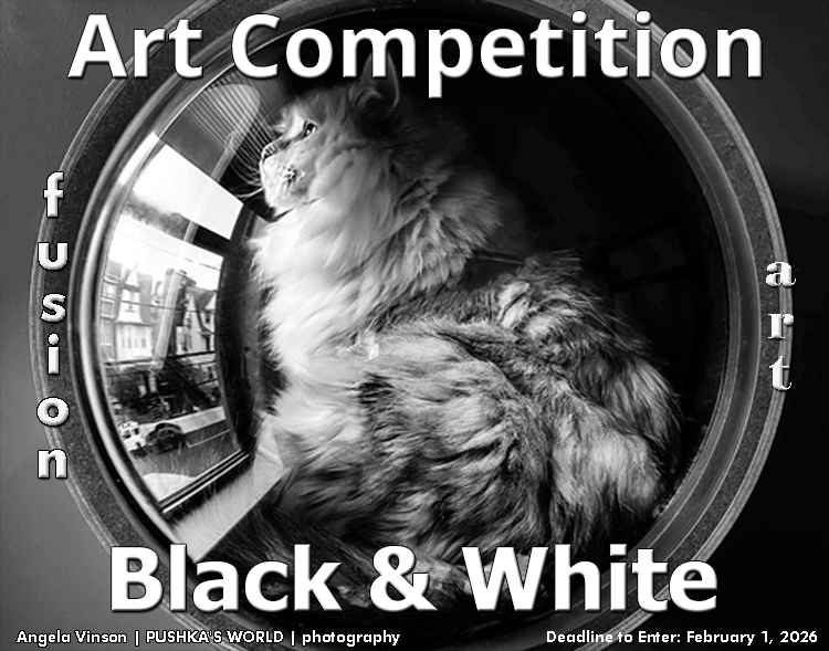 Black & White 2026 Art Competition