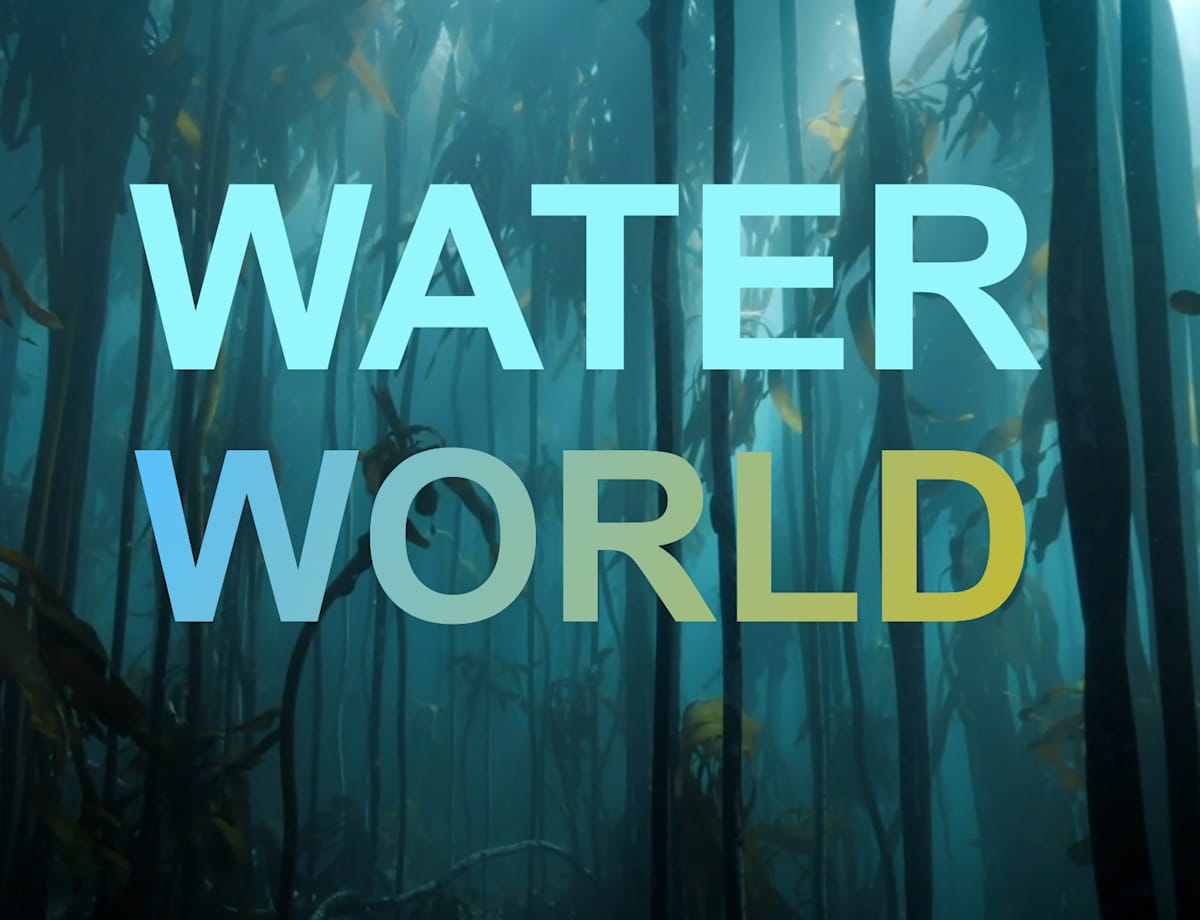 WATER WORLD