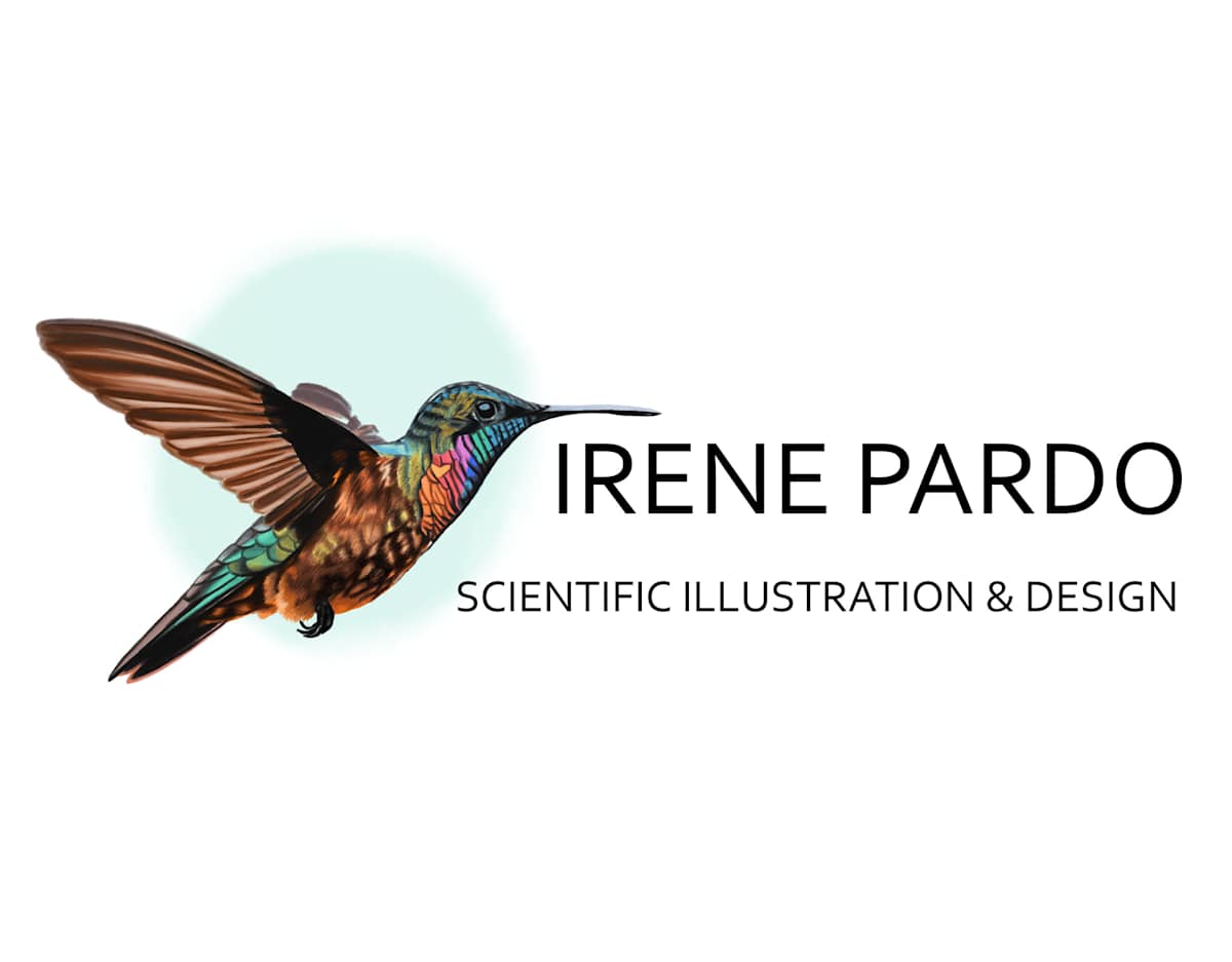 Image of artist