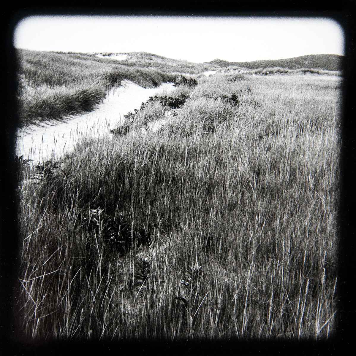 Wellfleet Bay Tidal Marsh Views I - VI, #5 unframed edition, edition image.