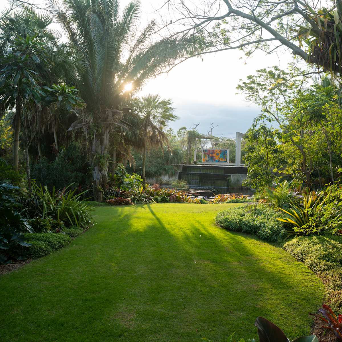 Naples Botanical Garden Creative Residency