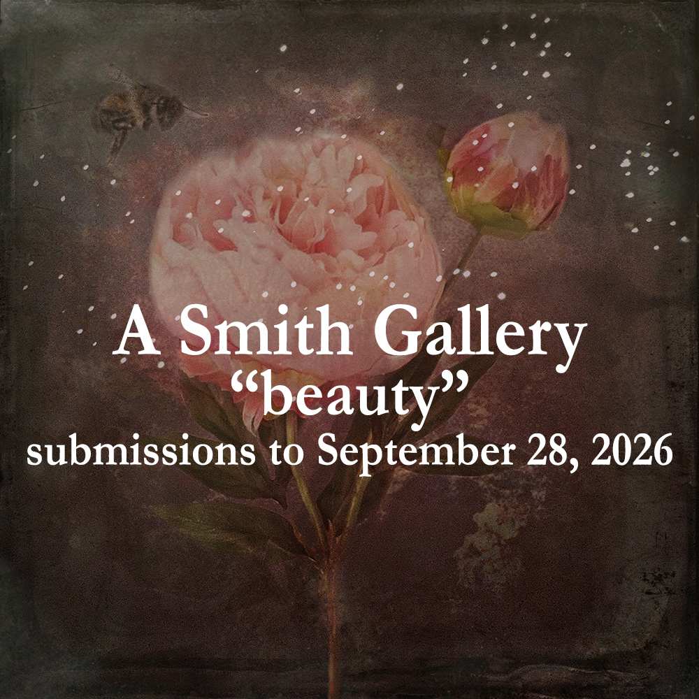 photographic call for entry | "beauty"