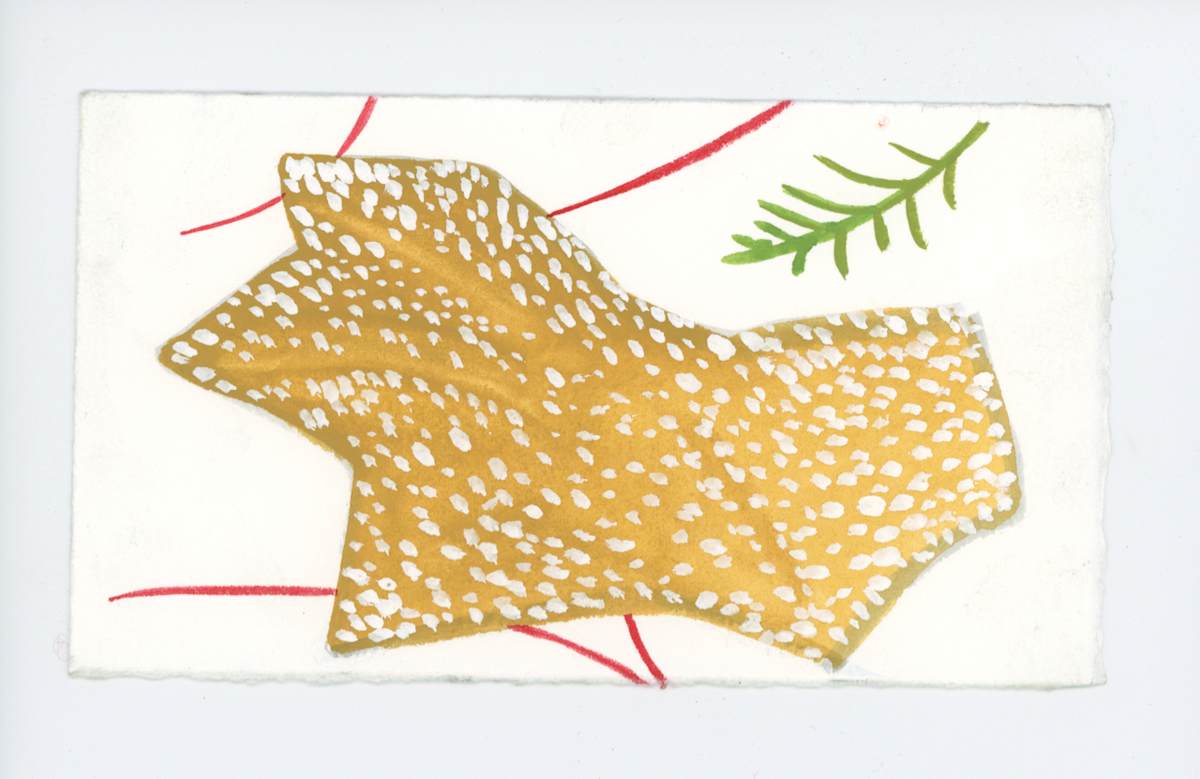 A Sycamore Leaf in the Snow, #1855, Image 1.