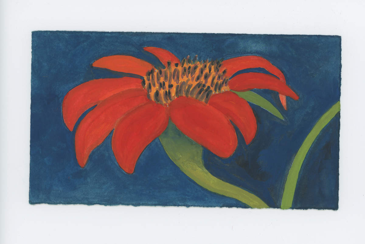 A Mexican Sunflower, #1789, Image 1.