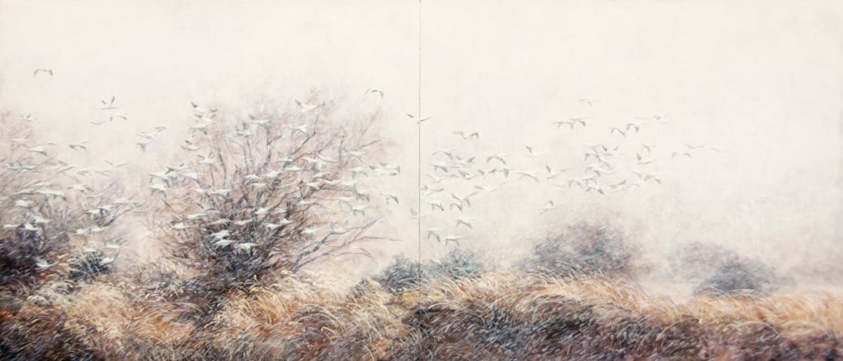 Second Sight by Robin Cole 