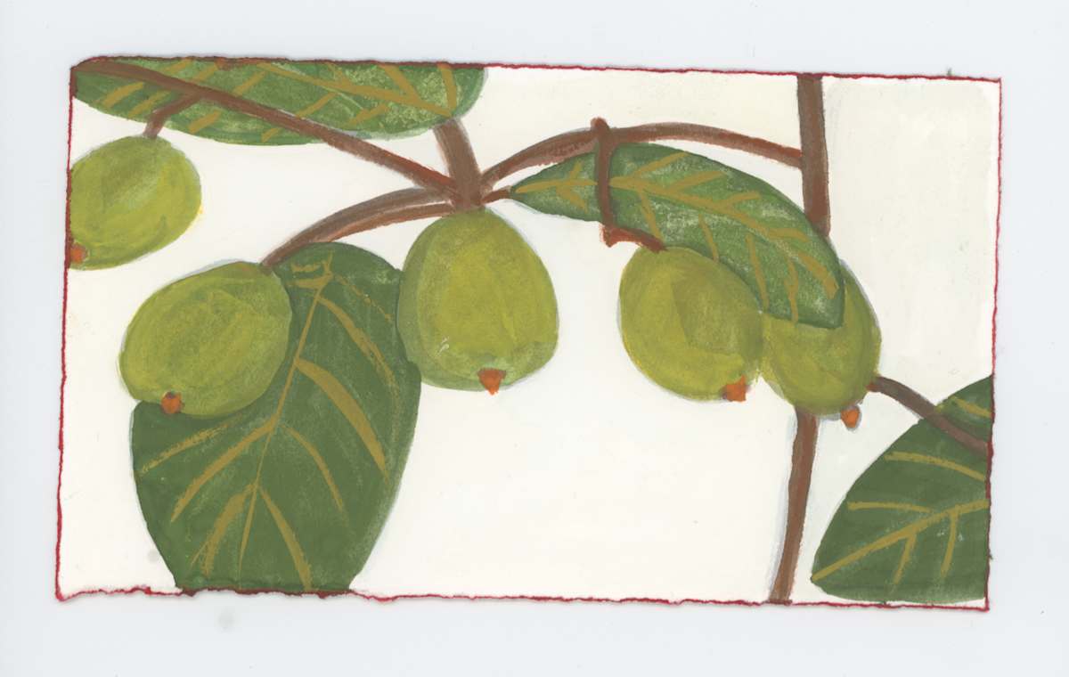 On Olmsted Island, #1730, Image 1.