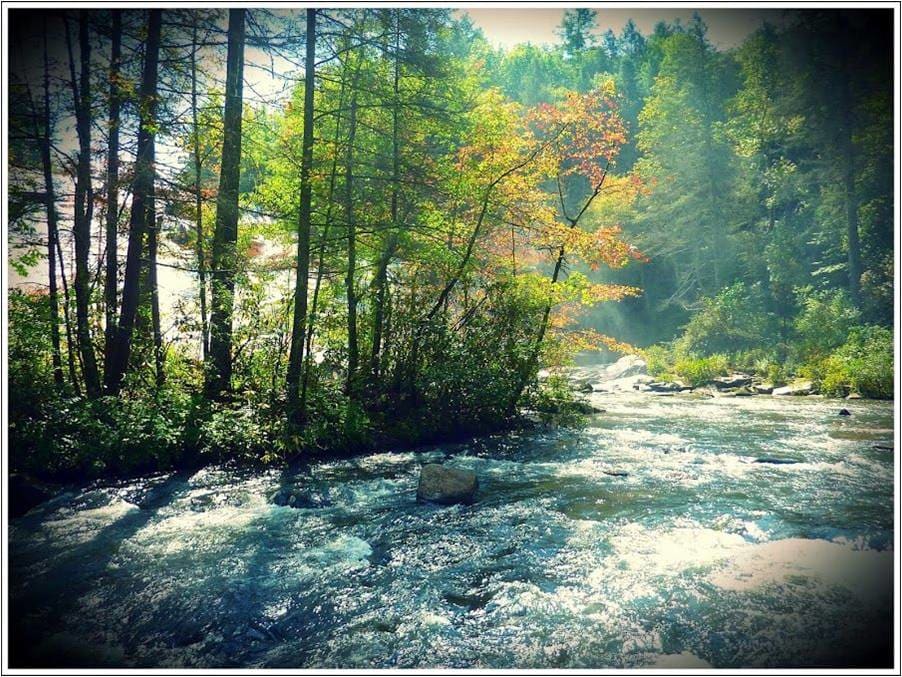 Running River by Mo Gafoor 