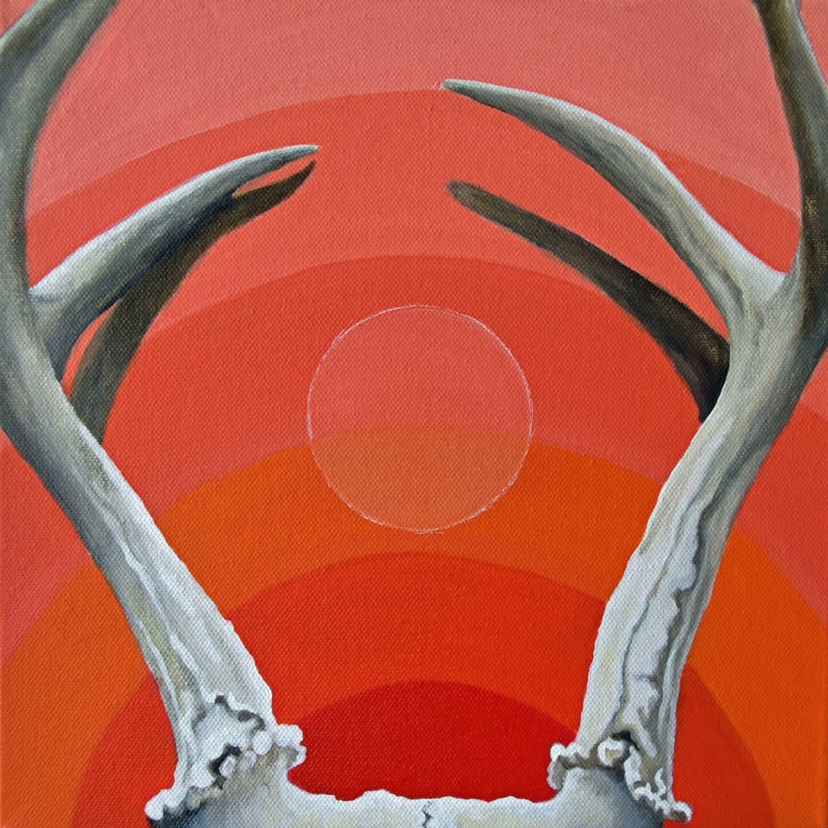 Horn Glow by Brandy Saturley 