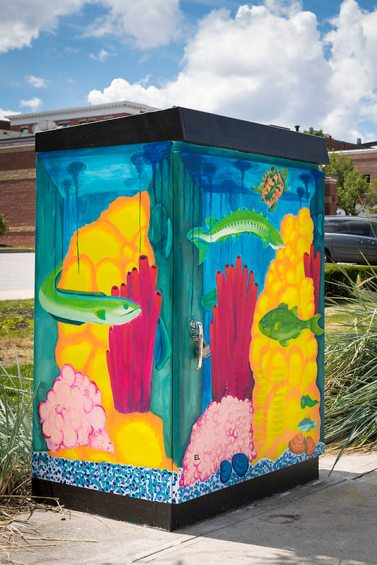 Salem's Mini Aquarium by Emily Larsen, Image 1.