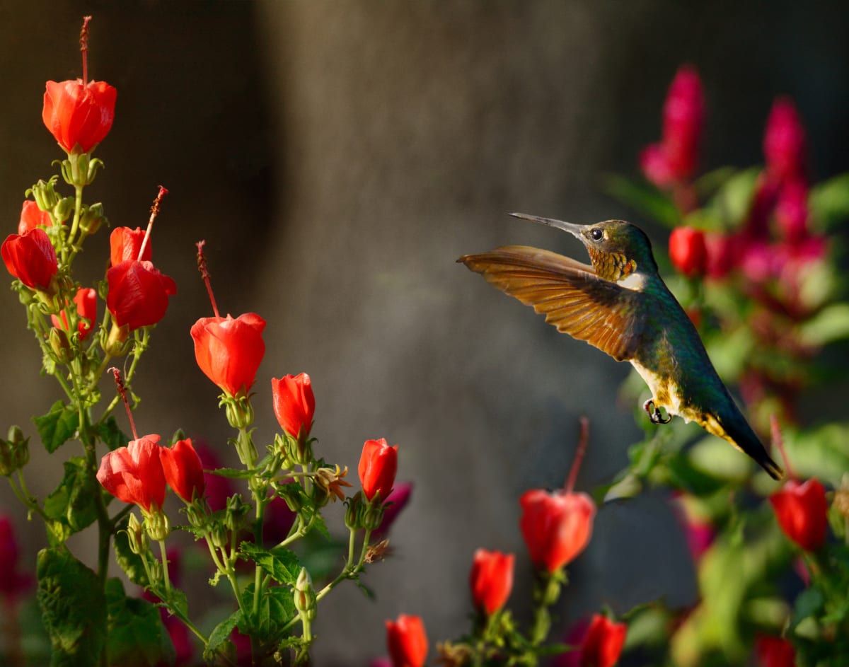 Golden Hour Dinner by Cheryl Sperling 