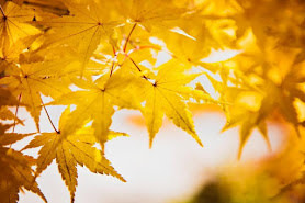 Through My Eyes by Huiping Du 