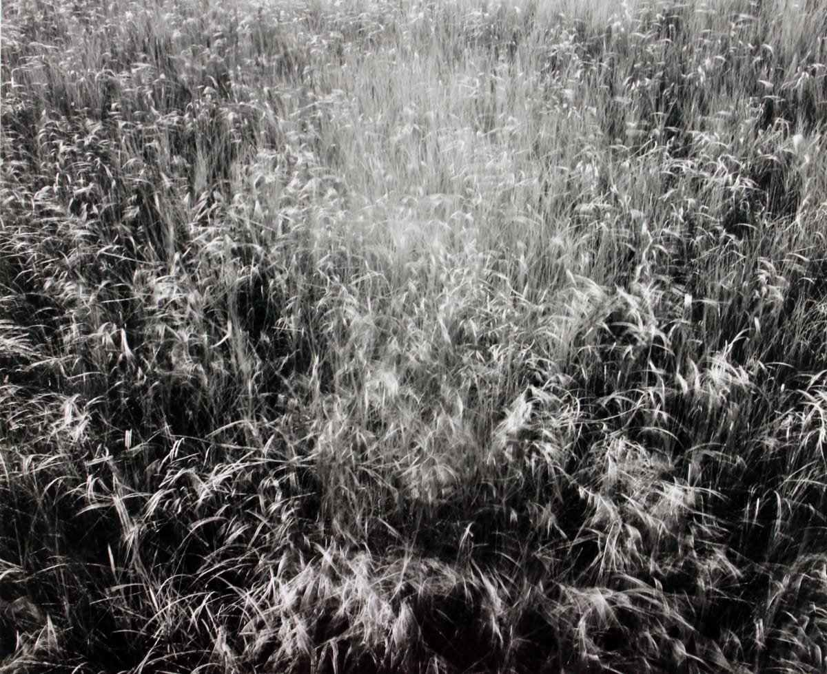 Nauset Beach, from RISD Portfolio by James Baker 