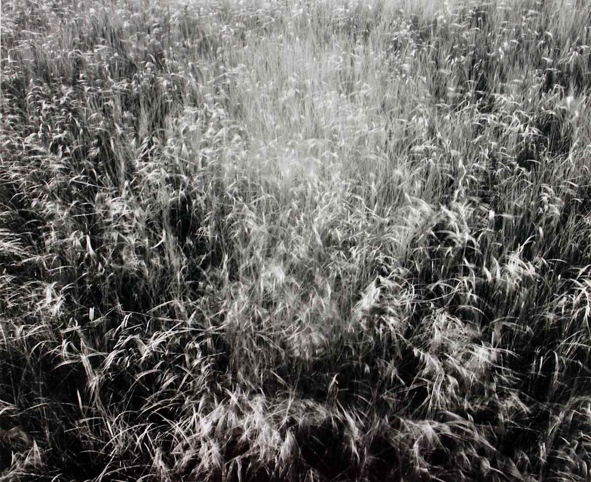 Nauset Beach, from RISD Portfolio by James Baker, Image 1.