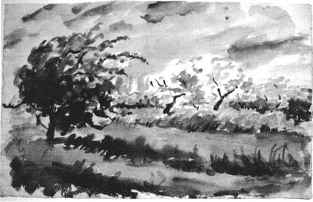 Blossoms in the Wind 