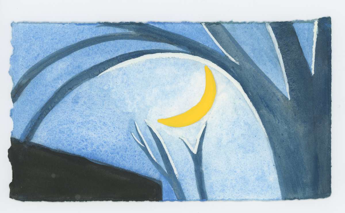 The New Moon and the Sycamore, #1660, Image 1.